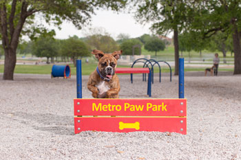Dog-On-It Parks