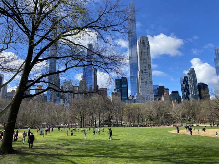 Central Park Conservancy