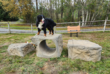 Dog-On-It-Parks