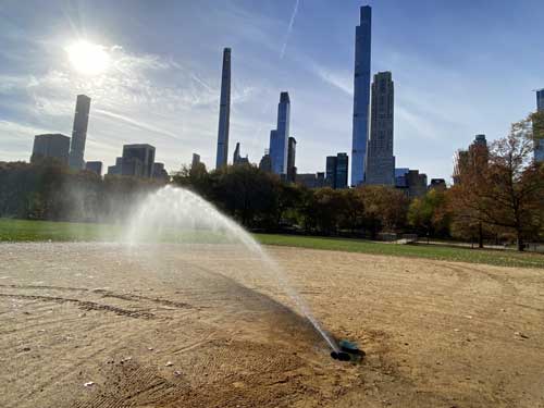 Central Park Conservancy