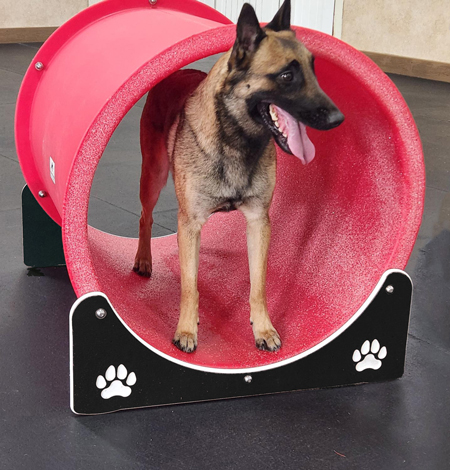 Dog-On-It-Parks