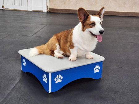 Dog-On-It-Parks