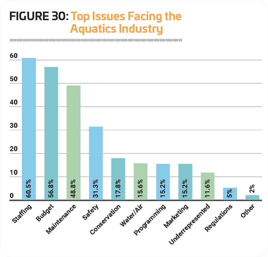 Figure 30 Top Issues Aquatics Industry