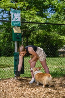Woman Picking up Dog Waste