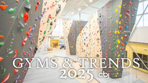 image of a climbing gym