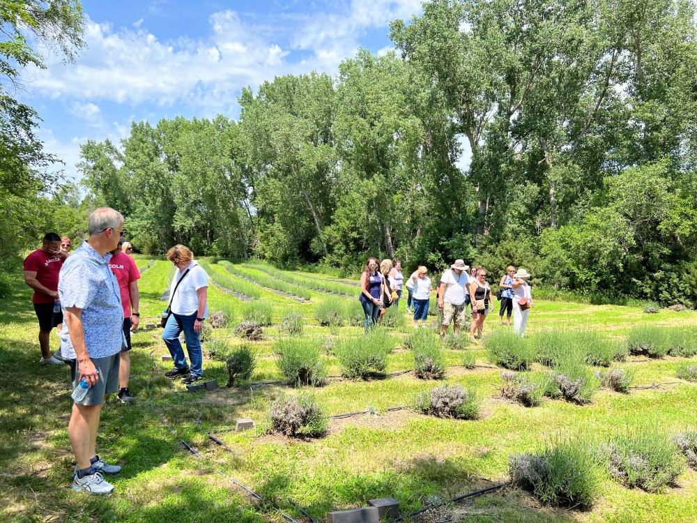 Nebraska Teambuilding Activities That Bring Groups Together ...
