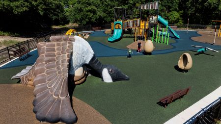 a playground with a custom Canada goose