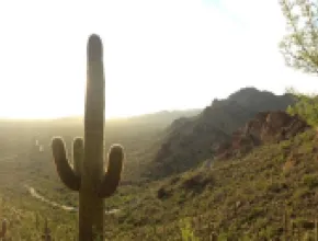 PHOTO COURTESY OF VISIT TUCSON