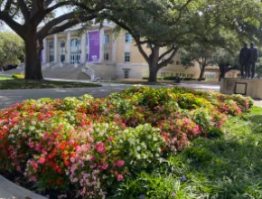 Texas Christian University