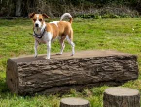 Dog-On-It-Parks