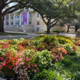 Texas Christian University