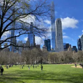 Central Park Conservancy